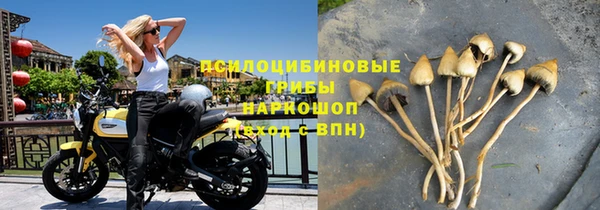 кокс Аркадак