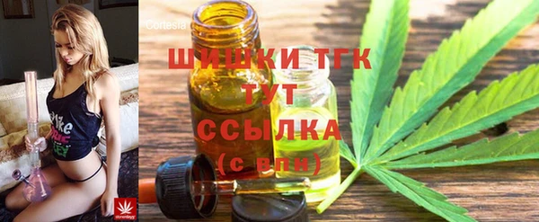 СК Арсеньев