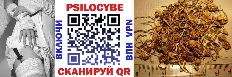 закладки  Лаишево  Псилоцибиновые грибы прущие грибы 